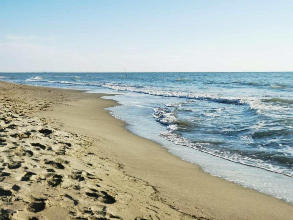 Appartamento In Villa A Tirrenia, Eleganza E Comfort A Pochi Passi Dal Mare Pisa Exterior foto